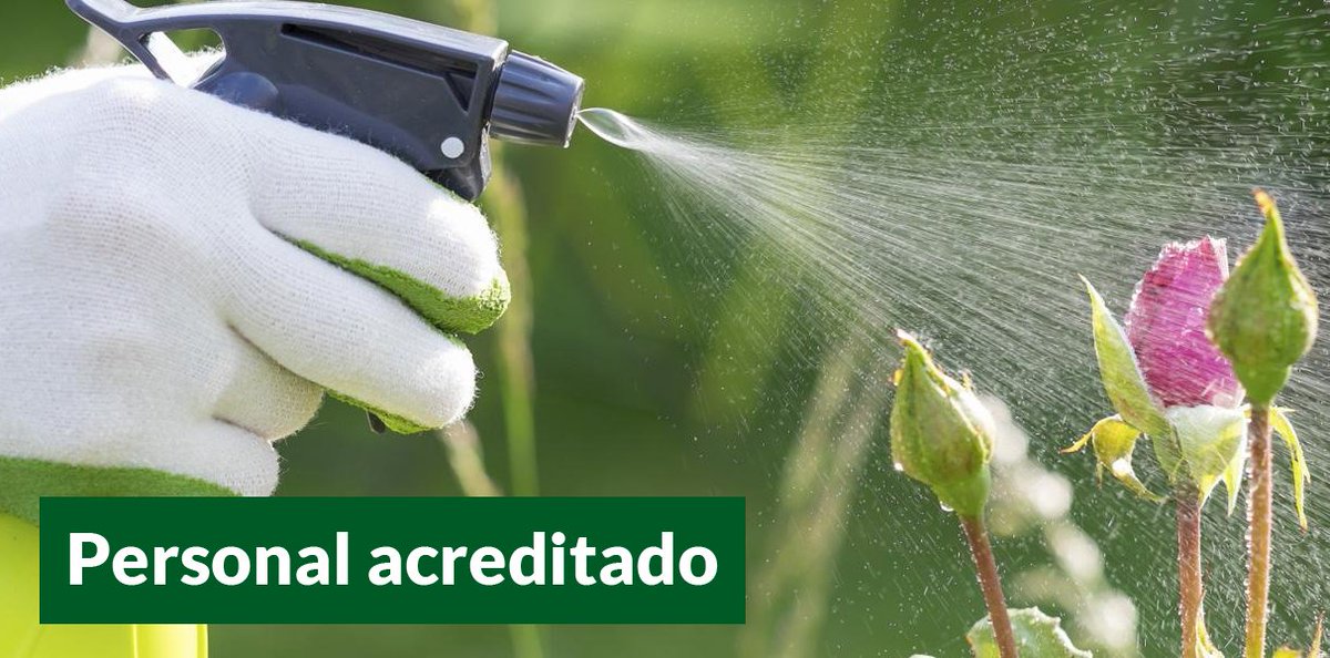greenfactor_'s tweet image. Plántale cara a las #plagas de insectos con nuestros tratamientos
¡¡Protege tu jardín!!
greenfactor.es