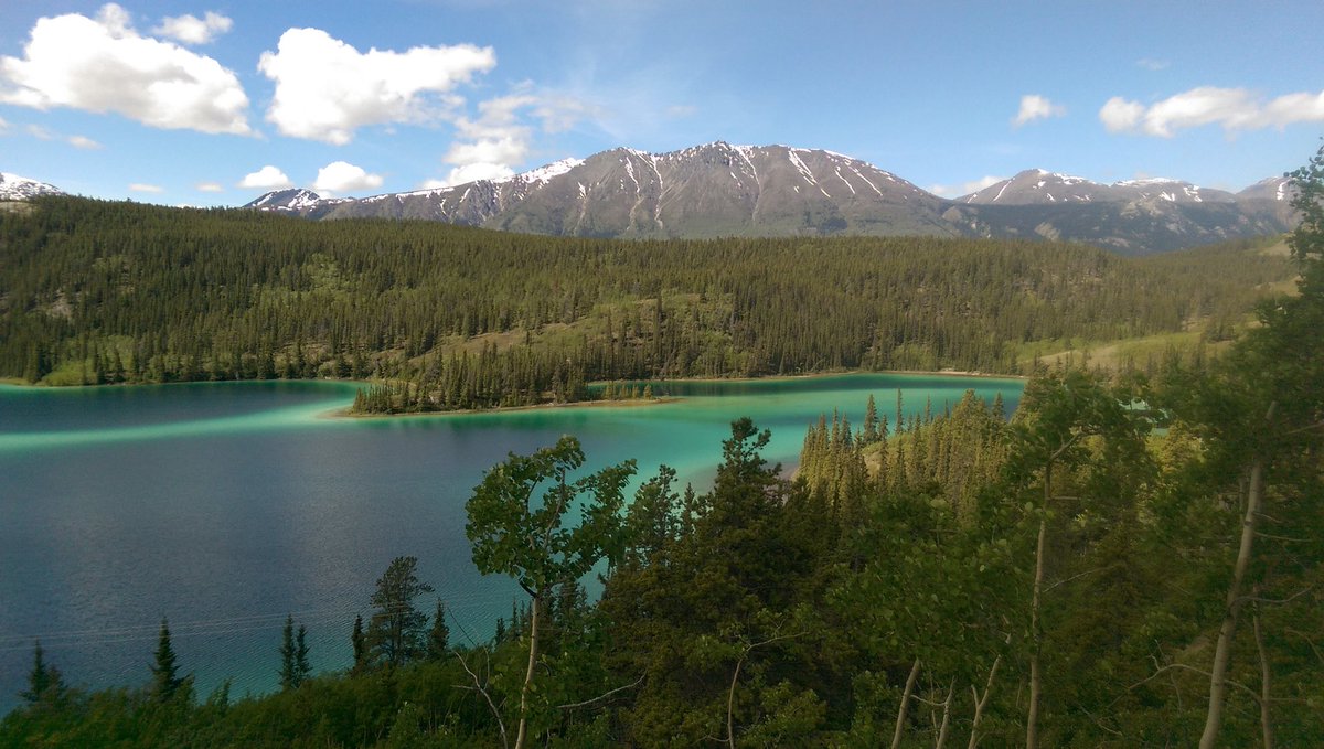 Ms_Mackowetsky's tweet photo. And another beautiful view #Yukontrip2016 https://t.co/xaBUAhVrRr