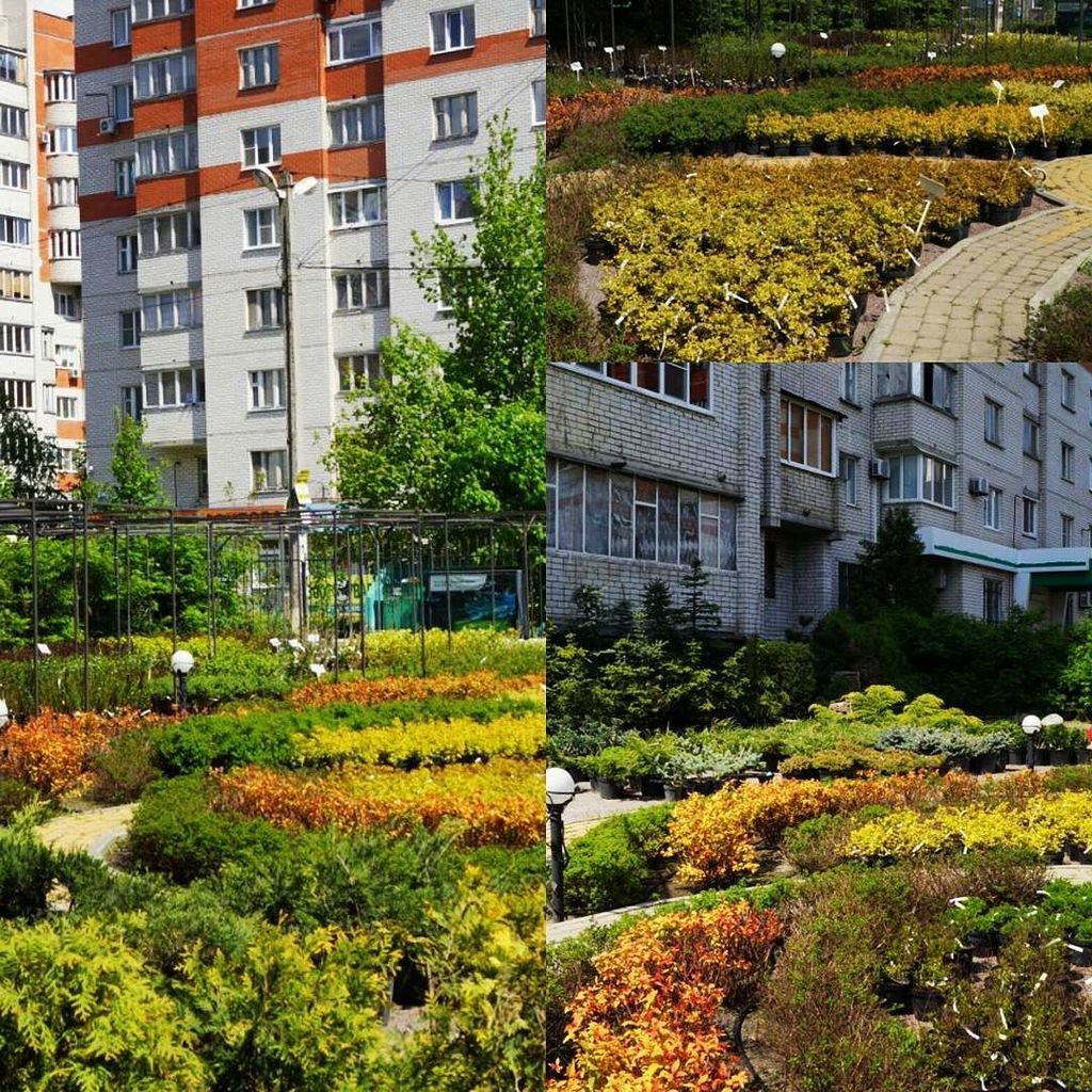 AnacletoRomeroM's tweet image. Пусть и поздно запостил, но... К СЕЗОНУ ГОТОВЫ!!! #dacha_group #ландшафтныйдизайнворонеж #садовыйцентр