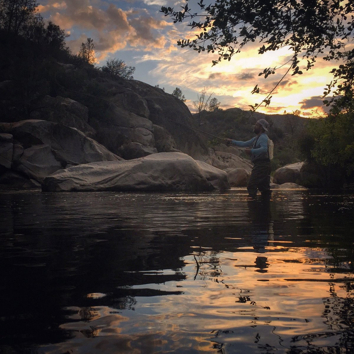 KatieFalkenberg's tweet image. Until the last light of the day. #flyfishing #sequoianationalforest #UpperKern @OrvisFlyFishing @PatagoniaFlyFsh