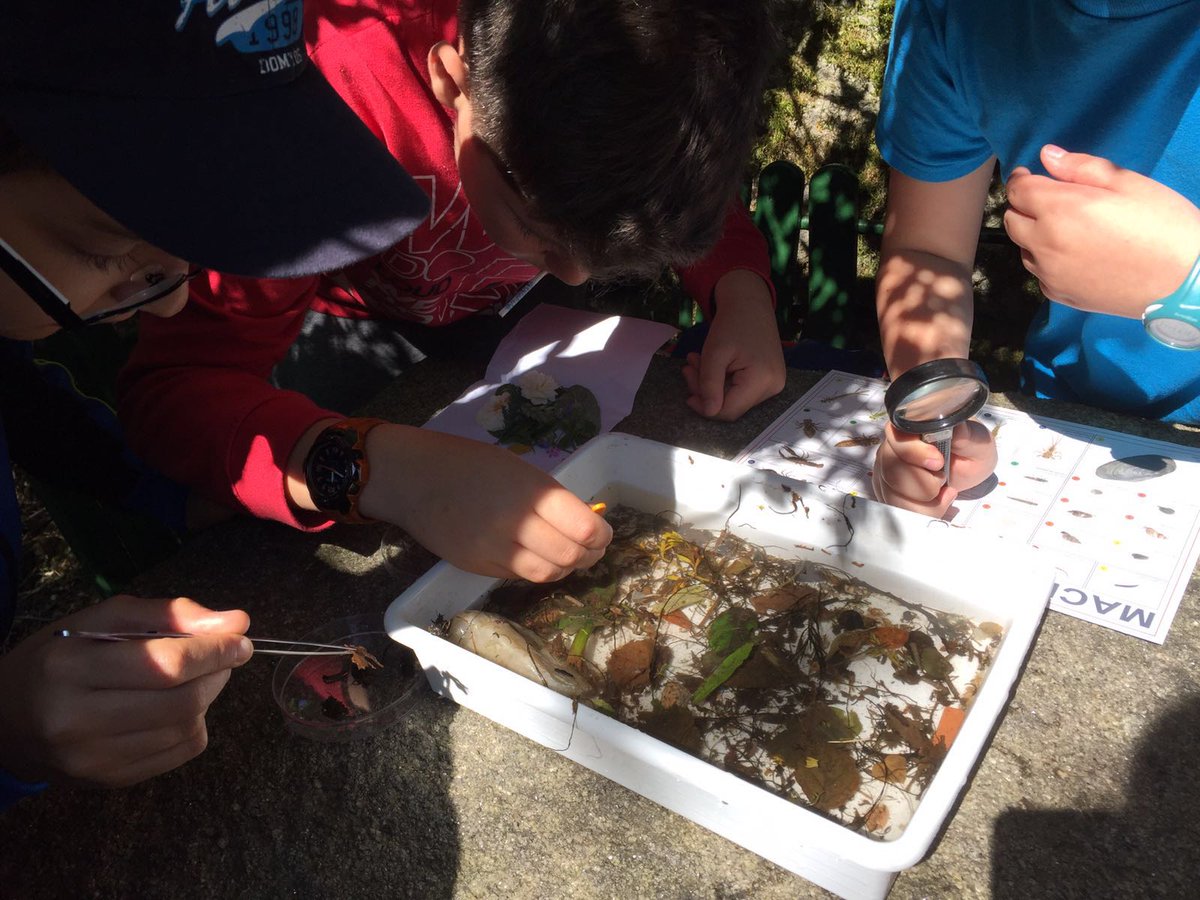 CEIPLAREDO's tweet photo. Analise dos invertebrados do río #proxectorios #salugal https://t.co/mKHblMAOvJ