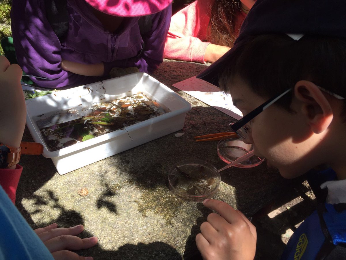 CEIPLAREDO's tweet photo. Investigamos sobre a flora e os macroinvertebrados #proxectorios #salugal https://t.co/7XIQJIDd8C