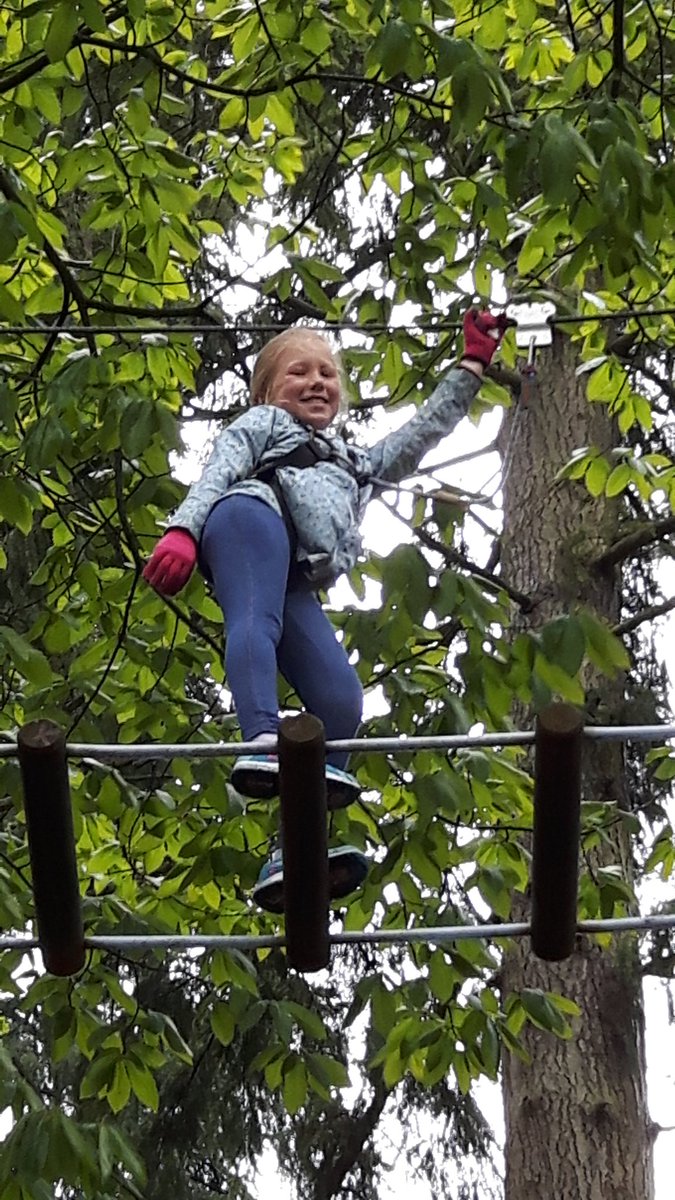 Paul Hardwick tweet media