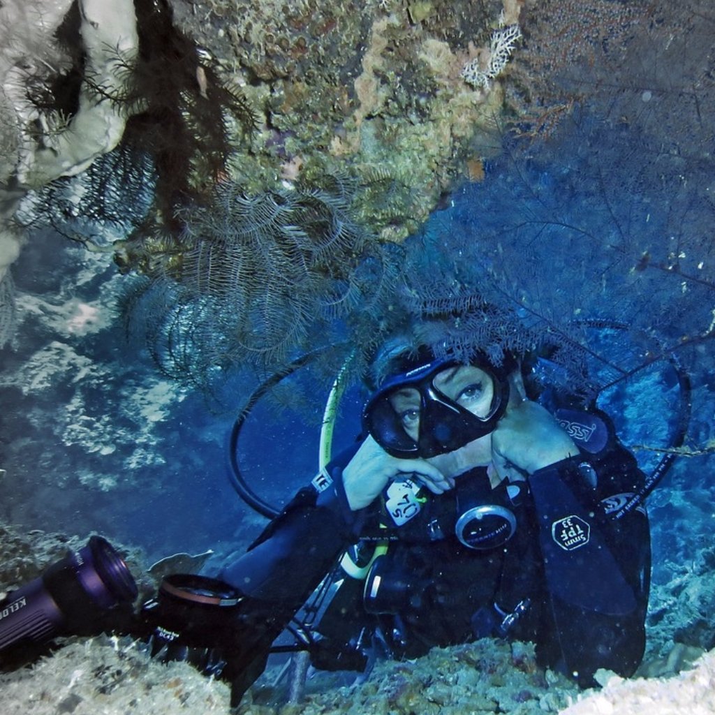 Groupon Guadalajara (Groupon_GDL) Twitter