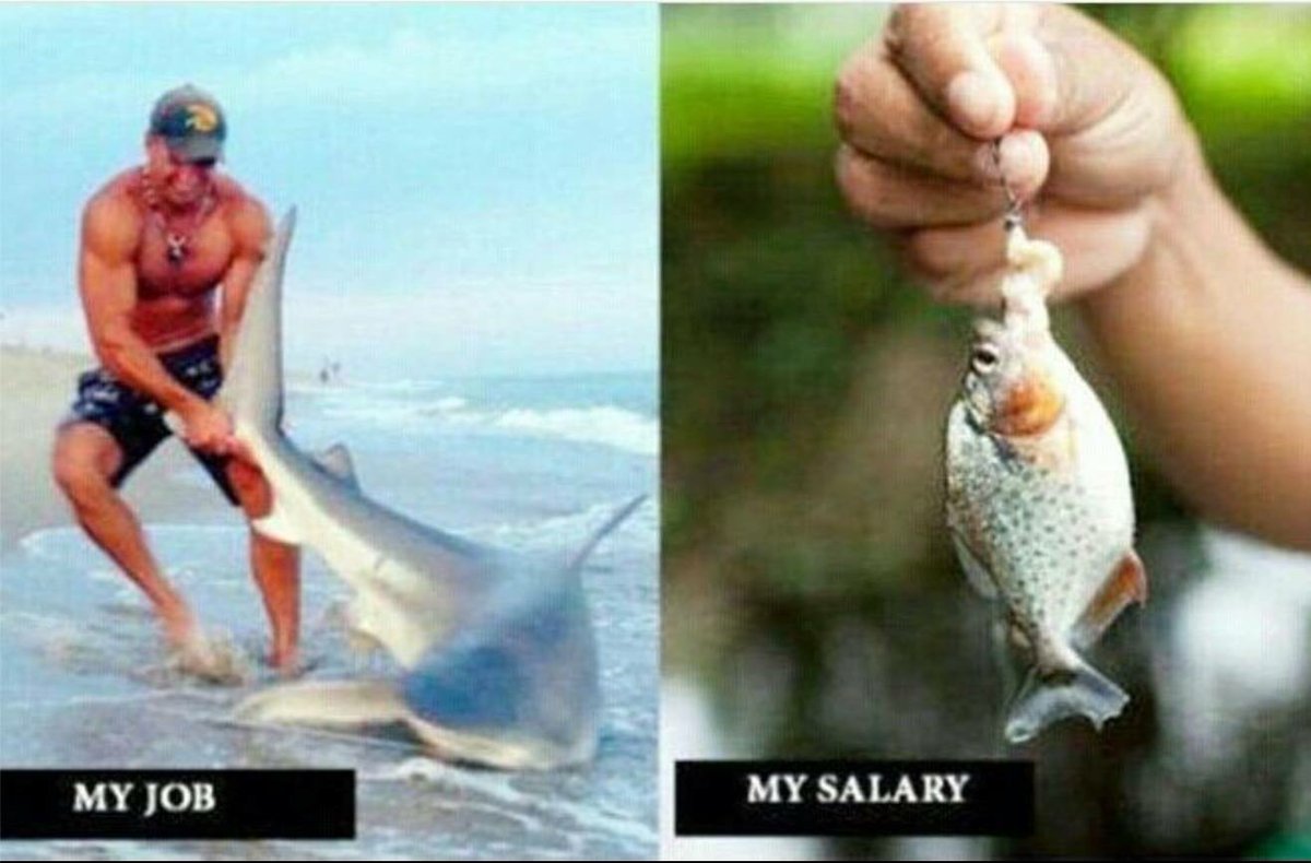 TeacherProbs's tweet image. The perfect metaphor. #TeacherProblems