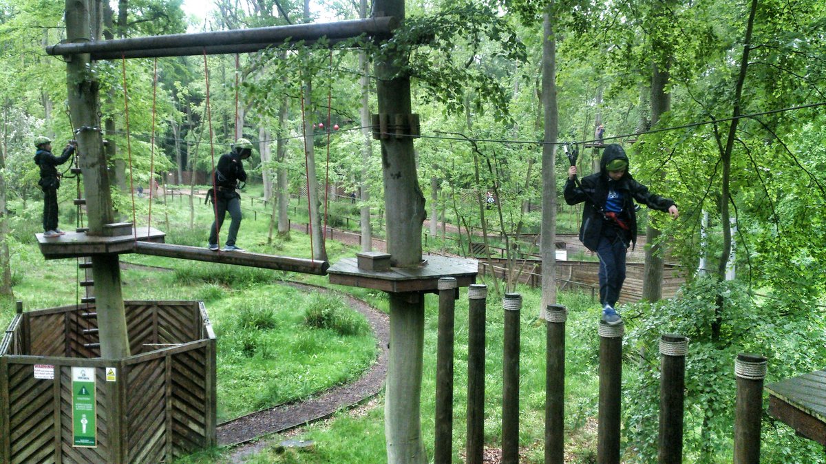 YouthInspireduk's tweet photo. What a brilliant day @TreeNinjas :) Scaling the heights, zooming down the ziplines #smiles #treetopview #challenge https://t.co/M5nzg9eASw