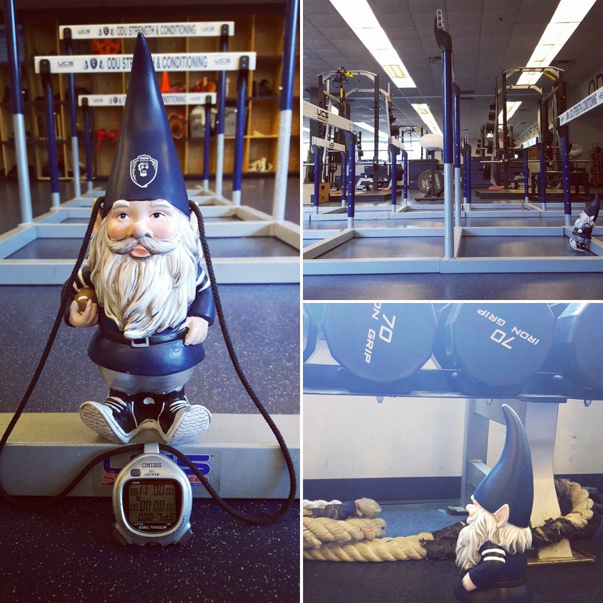 ODUPreview's tweet photo. The weekend is over. Back at it, #ODU. #backday #MonarchPride #ODUPreview #ODUSummer https://t.co/ibggZM5NMs