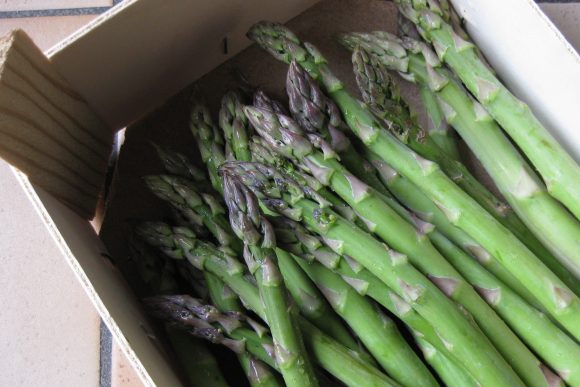 RT <a href="/AlsaceWines/">AlsaceWines</a> The Perfect Pairing: Alsace Muscat and Asparagus!! bit.ly/1WP9vAU #DrinkAlsace