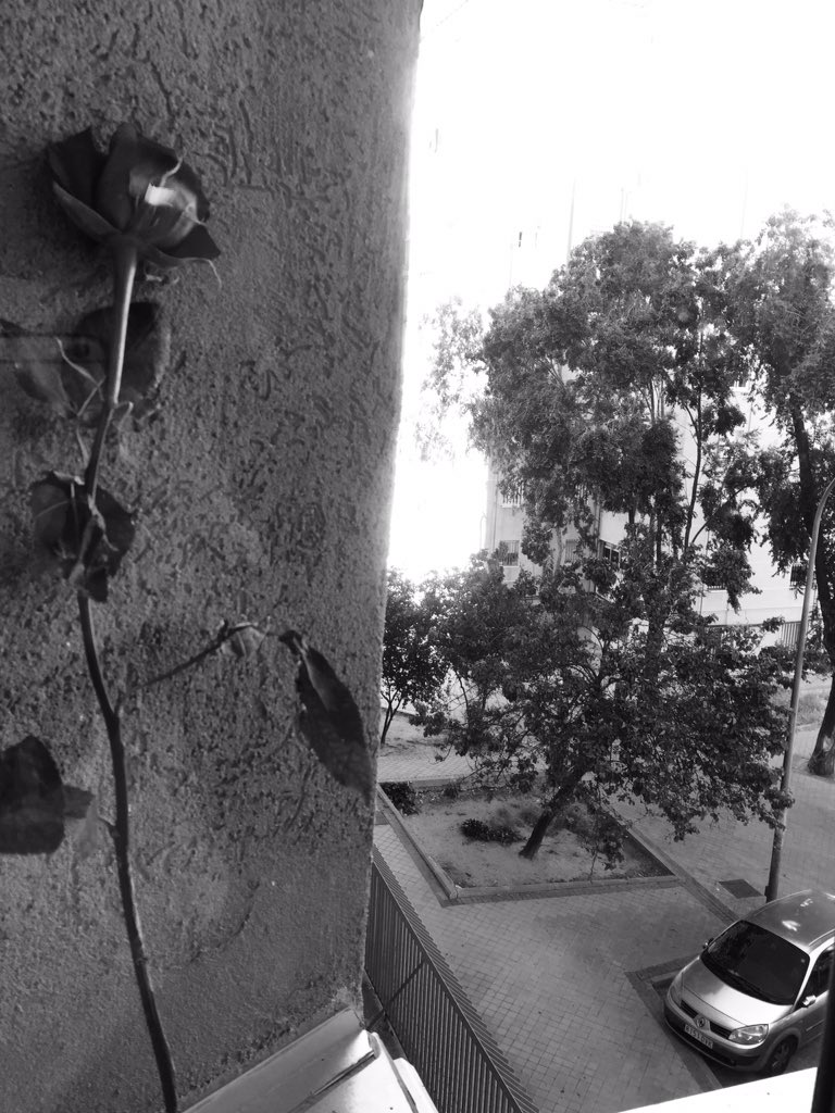Nachordis's tweet photo. Este detalle me ha animado el día ✨✂️👾 https://t.co/oXkeEtmZW1