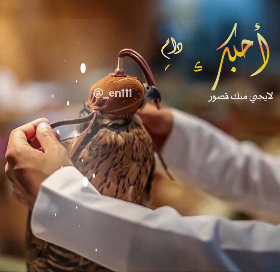 راعي من تحب
اهتم به،، ضحي لأجله
احترم مشاعره😴
...... كن له فوق مايريد منگ.....
#وتَرْ✍🏻
<a href="/_en111/">˼  ⌯   յᓧᓢg❥⃝      ♩</a> 
#تصميمي👇🏻