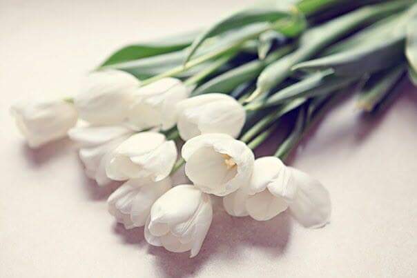 mmmn2561's tweet photo. ام https://t.co/8nVkh2NnJ9