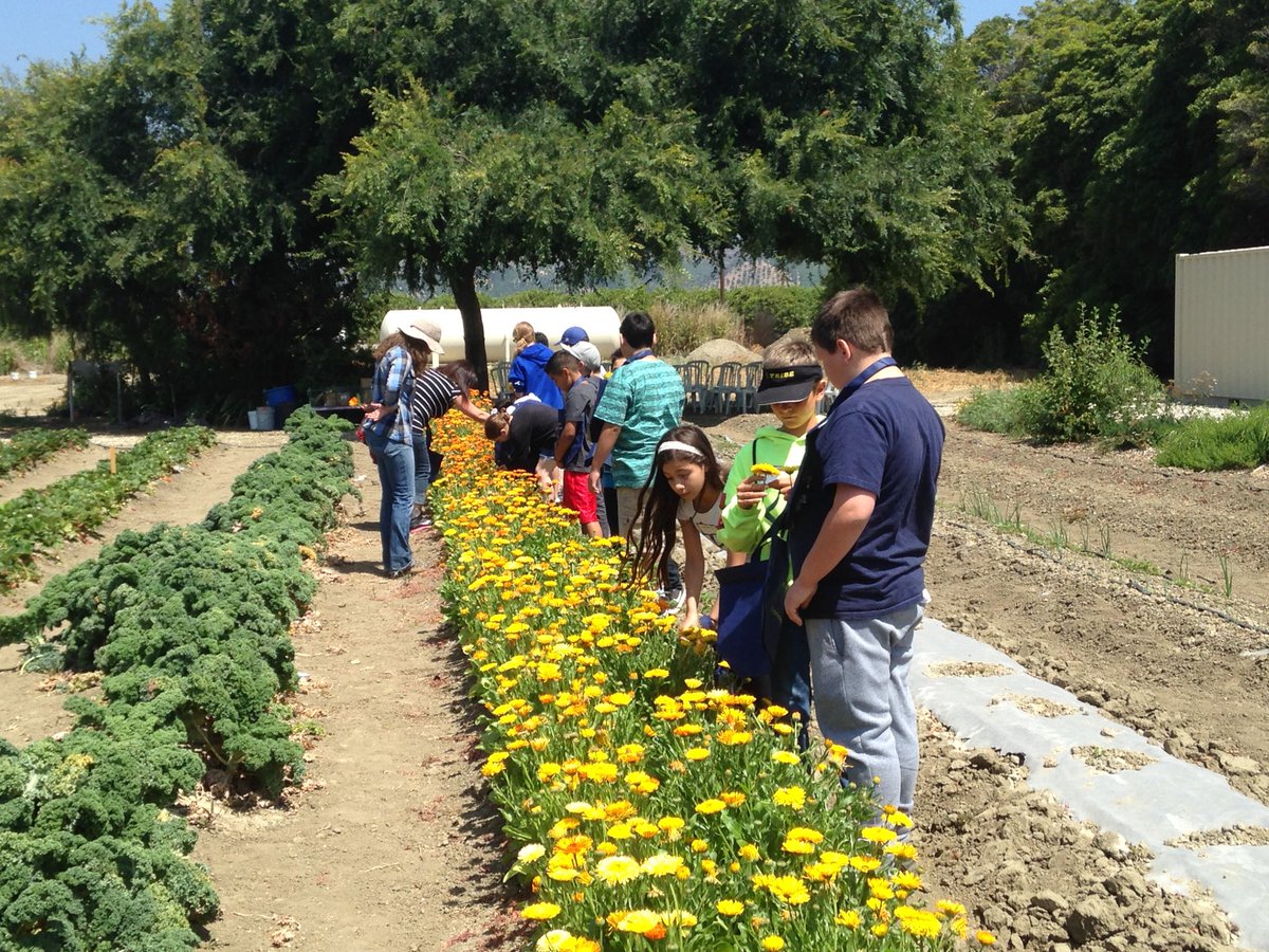 AtlasJohnWil's tweet photo. Room 2 &amp; 9 enjoying the day at the University of California Hansen Agriculture Center. https://t.co/6PprIek65r