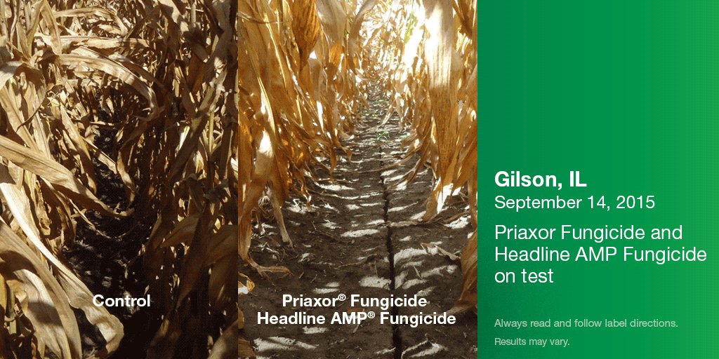 0% financing &amp; no payments for 180 days on qualifying purchases with BASF Finance Advantage. on.basf.com/1UfstKV