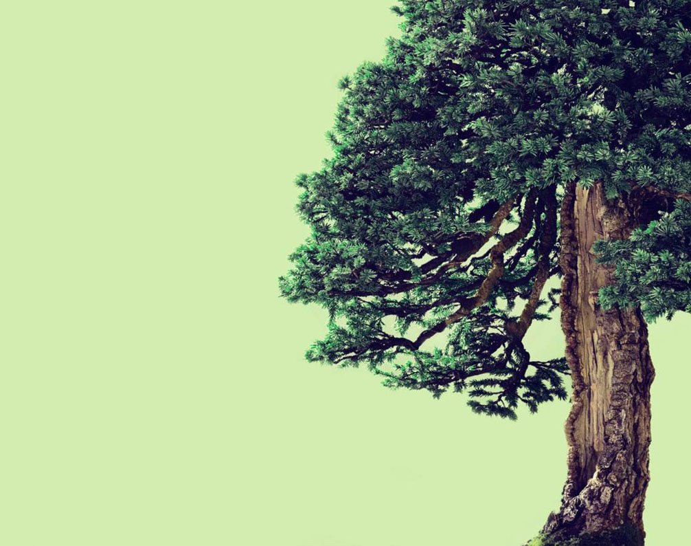 CoEditCollect's tweet image. Instead of #TuesdayMotivation, how about inspiration? New blog post @junichiitofoto bit.ly/1TP0iZe