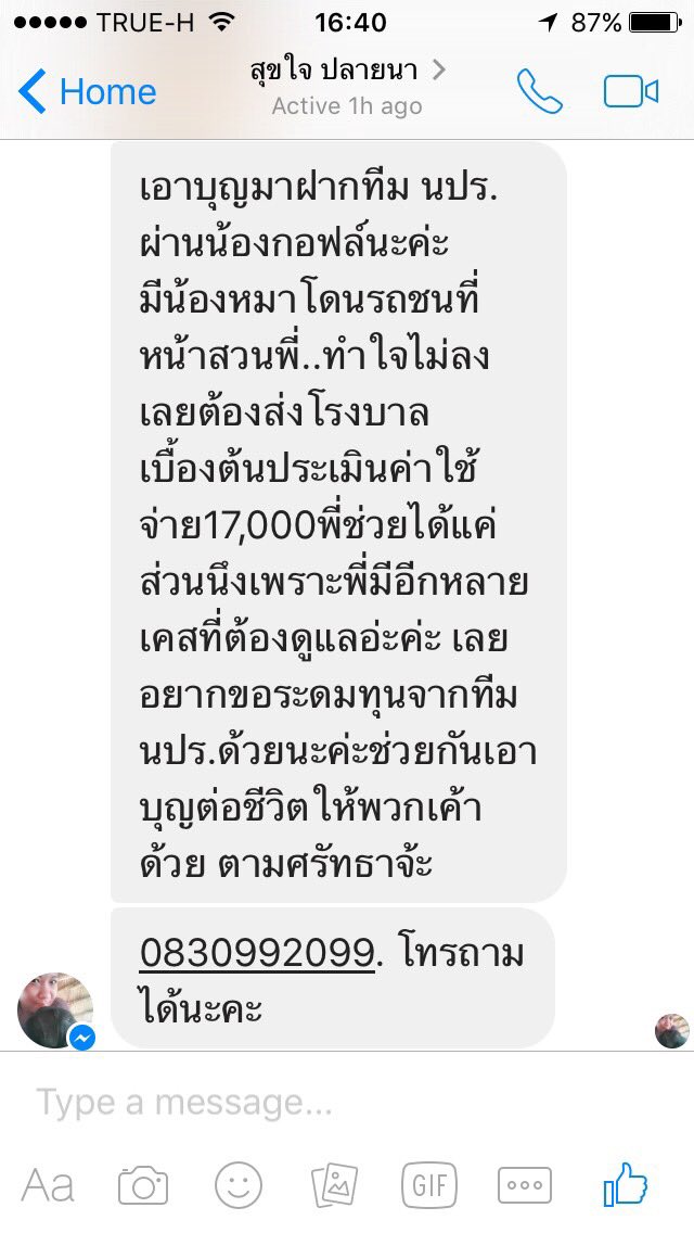 kittyamon's tweet photo. @fernnnfernnfern ฝากพี่เฟิร์นช่วยรีทวิตค่า "ช่วยน้องหมากันค่ะ ติดต่อพี่เค้าตามเบอร์โทร. ได้เลยค่า" #ทวิตดีคนรีน้อย https://t.co/ABgUVf6bfM