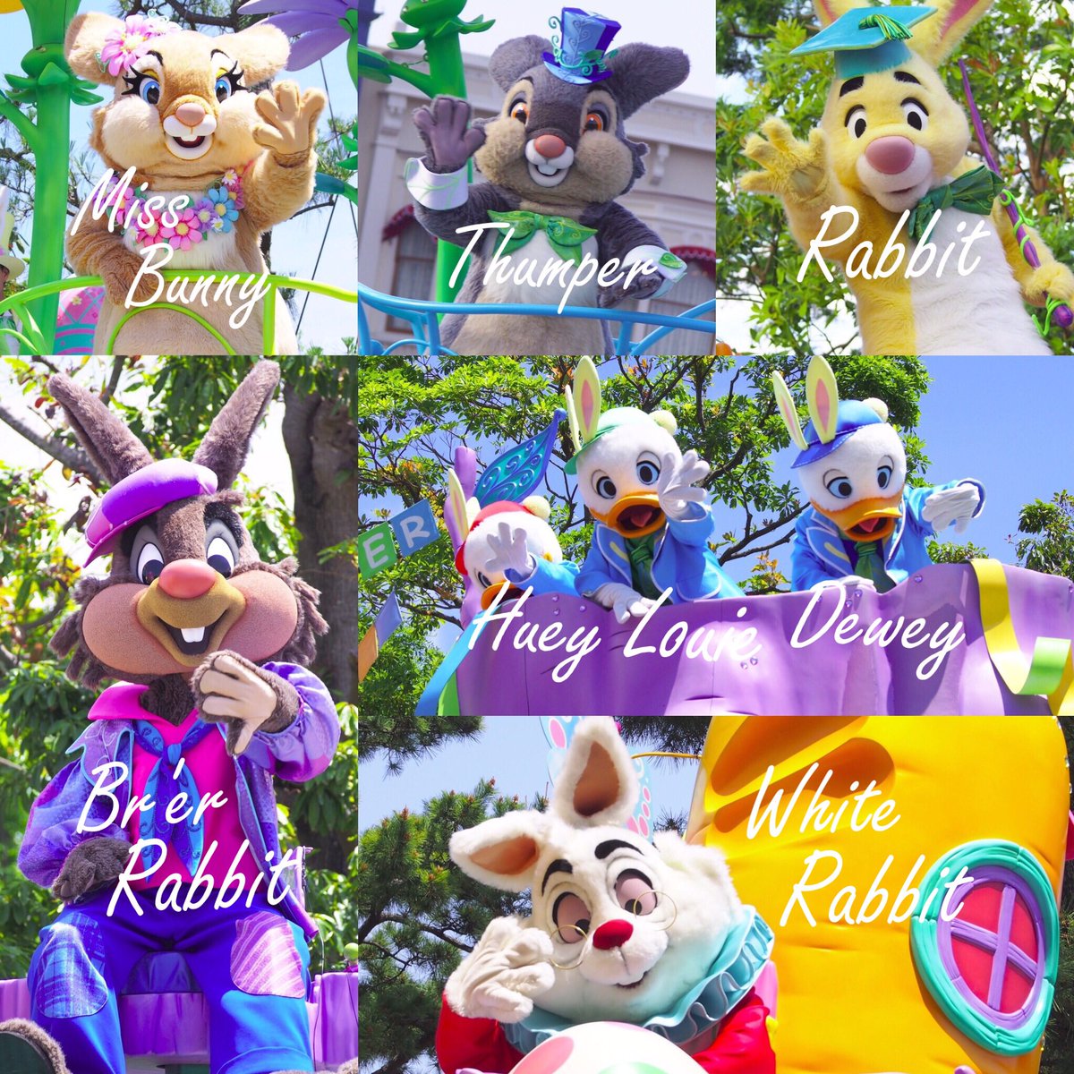 ayn96_0525's tweet photo. #ありがとうヒピホピ 
#disneyeaster2016 https://t.co/S4OBItwJFN