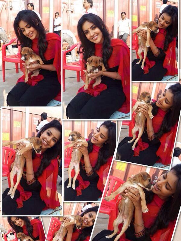 SituPriya's tweet photo. Umm... I believe!!  love happens ..anywhere! hahaha Yes! meet my cutieee pupp : ) https://t.co/ANCgF97JfC
