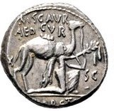 .@museiincomune ecco un bel dromedario (col re vinto Aretas) su un denario romano del 58aC! #BestiaireAW #Archeoweek https://t.co/iDYRlz16h6