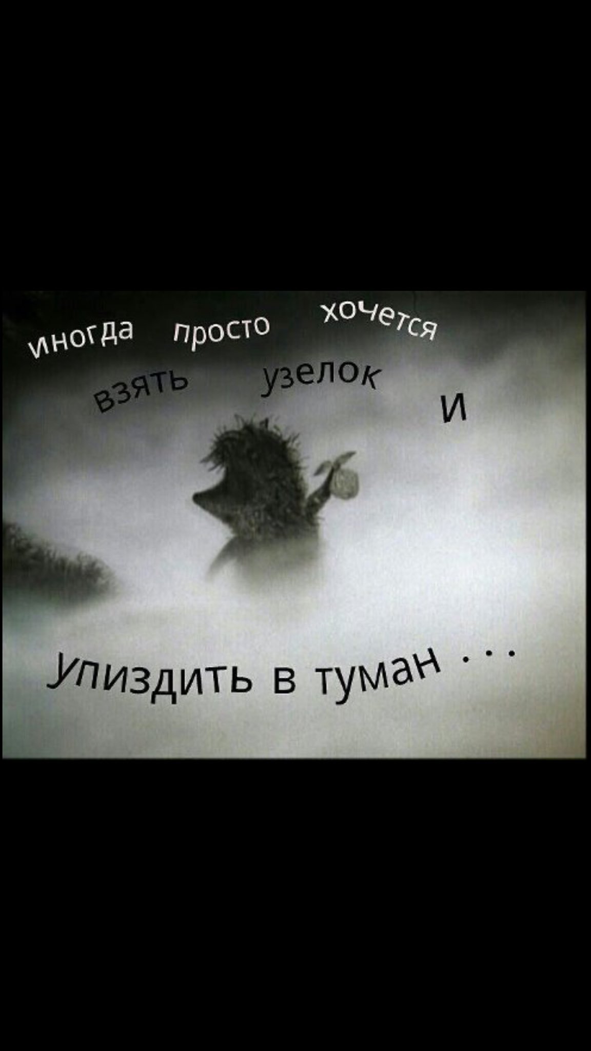 Ёжик в тумане смысл
