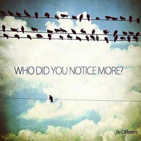 thescript's tweet image. I really love this. The freedom to move around on the bottom wire 👍🏼 G