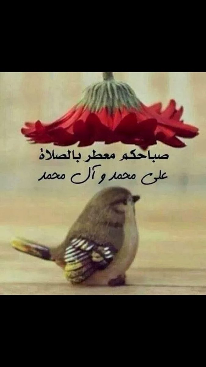 &جمانه علي & (@nl20846461) on Twitter photo 