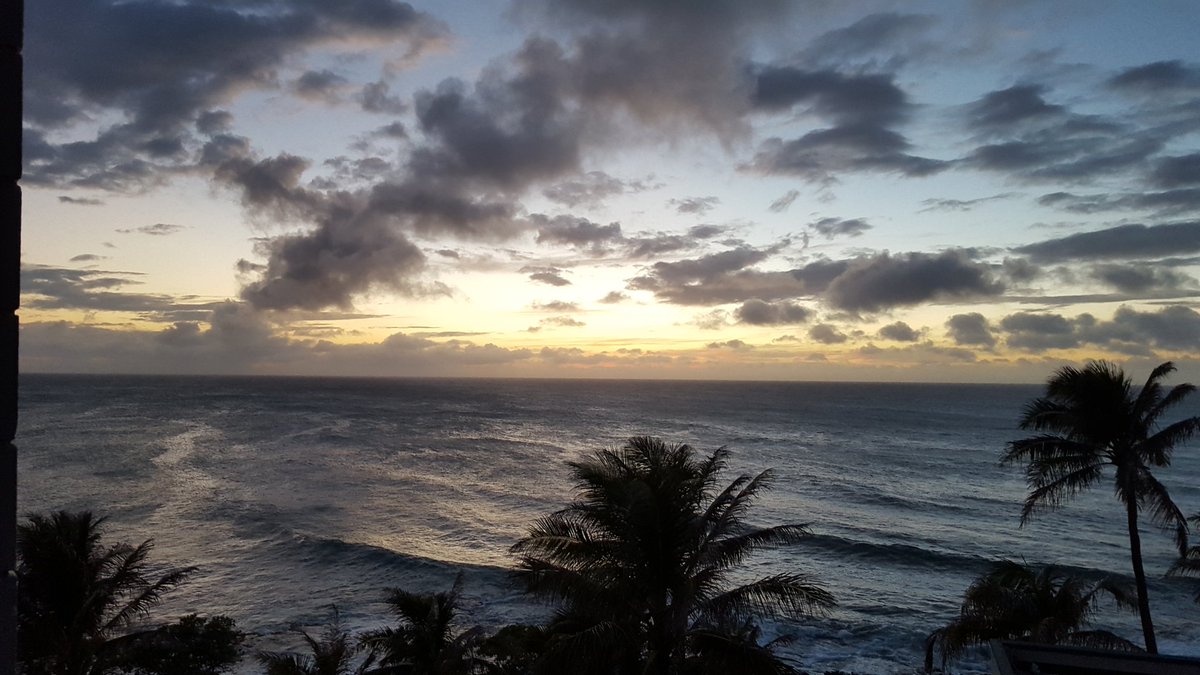 wnbfhawaii's tweet photo. Enjoying our stay after #Cellucor #pnmm #INBF #WNBF #HiFitExpo #Fitness #FitFam #HalfNatty #FullNatty #WNBFworlds https://t.co/wsBHfunSUQ