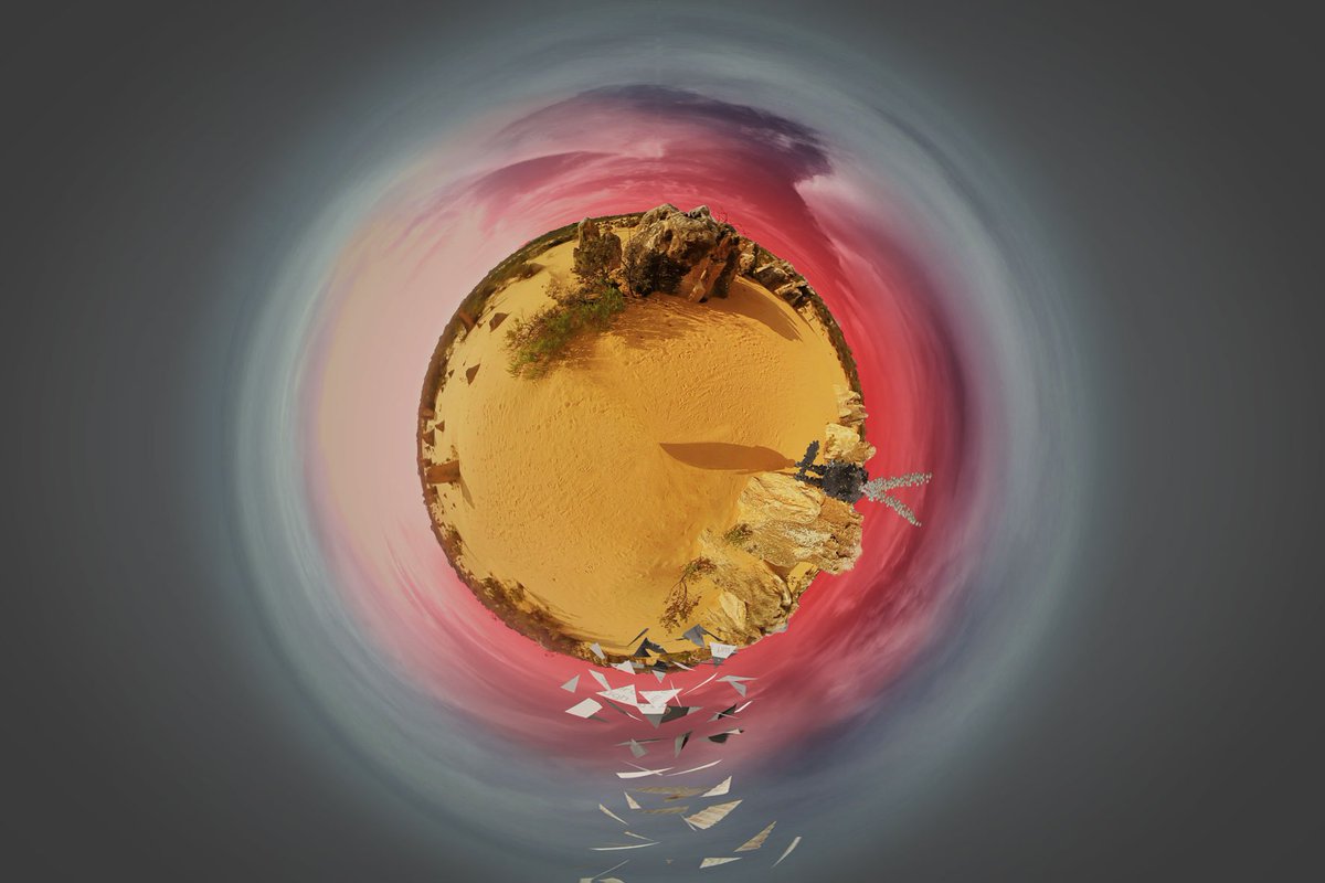 Kim-Leigh Pontin tweet media