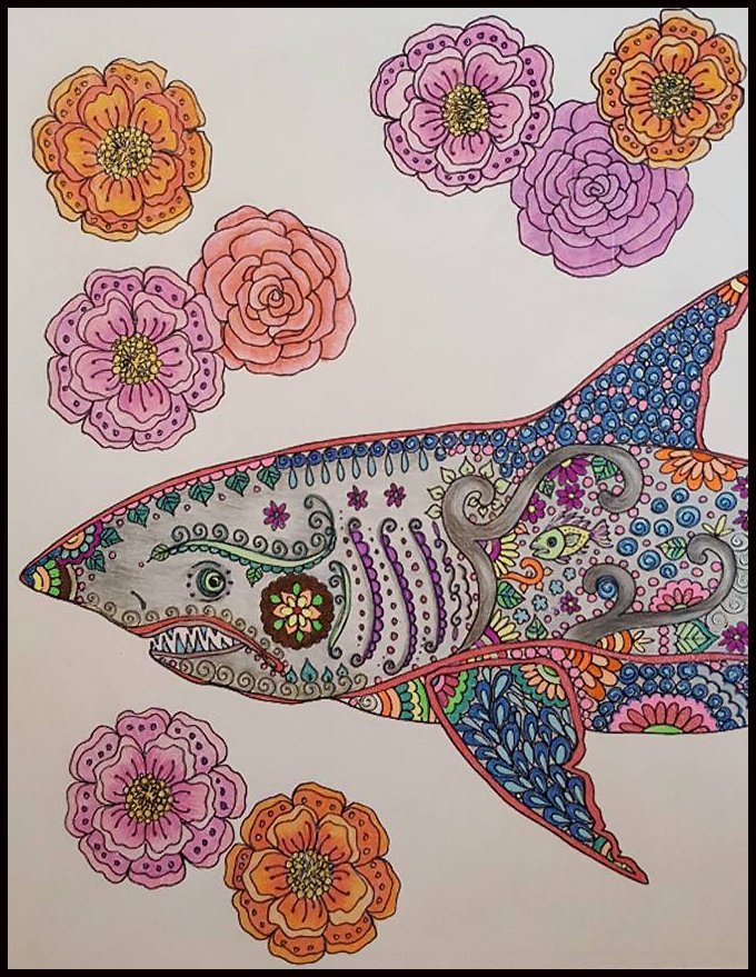 Shark art by d. Joubert @TwinnyDD  r.sa-seo.com/1Q3oeGD