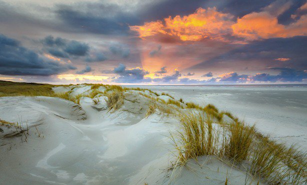 IamExpatNL's tweet photo. Check out popular #Dutch #beaches like #Scheveningen, #Zandvoort, #Katwijk and more! https://t.co/BFWWlsa1X7 https://t.co/h1sKgQqyWp