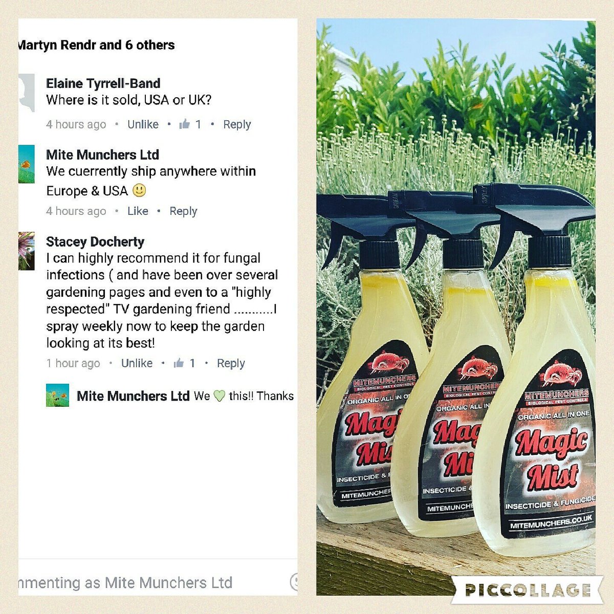 MiteMunchers's tweet photo. Some awesome feedback from one of our customers!! #Pestcontrol #Organic #MiteMunchers #MagicMist #BestSeller https://t.co/zpVDjkkCnh