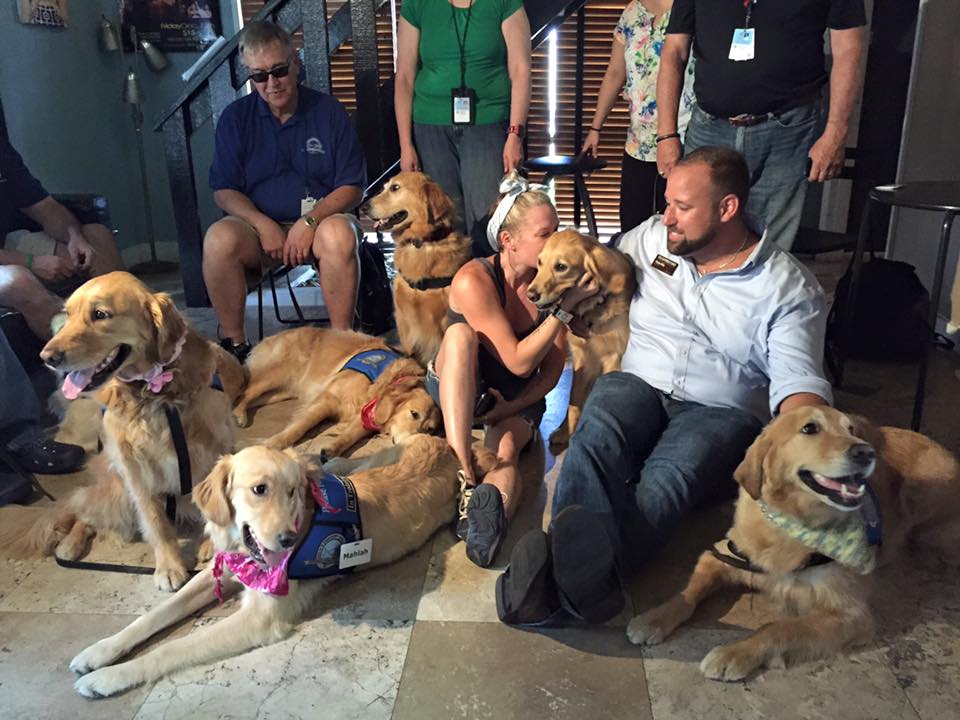 abcnews's tweet photo. Comfort dogs sent to Florida to help those grieving after #Orlando nightclub massacre https://t.co/oyb6l7xuDD https://t.co/c2IpaWP3rD