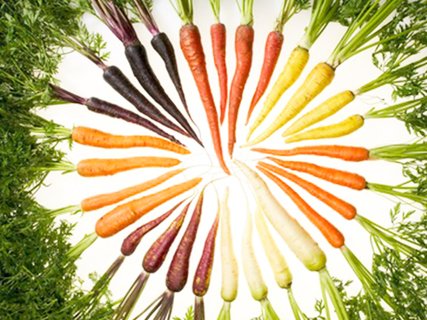 Hvorfor velge #økologisk gulrot #økologisklandsforening #mattilsynet #oikos owl.li/Hl2c301gYYF