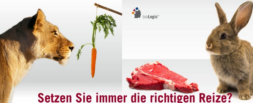 Kennen Sie Ihre Persönlichkeitsstruktur?  bit.ly/1ppZ5d7 #biologic #Tacheles