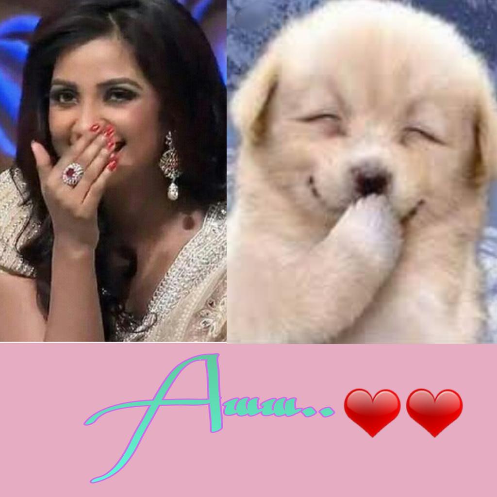 CutePets8's tweet photo. Awww soooo sweet Smile Heeeheeeee😆😆😆😅😅 @shreyaghoshal @Shatarupa10 @Shamma_Khan @giridharGD @theswatimishra 🙆💟💟 https://t.co/a6Ibrm7g2b