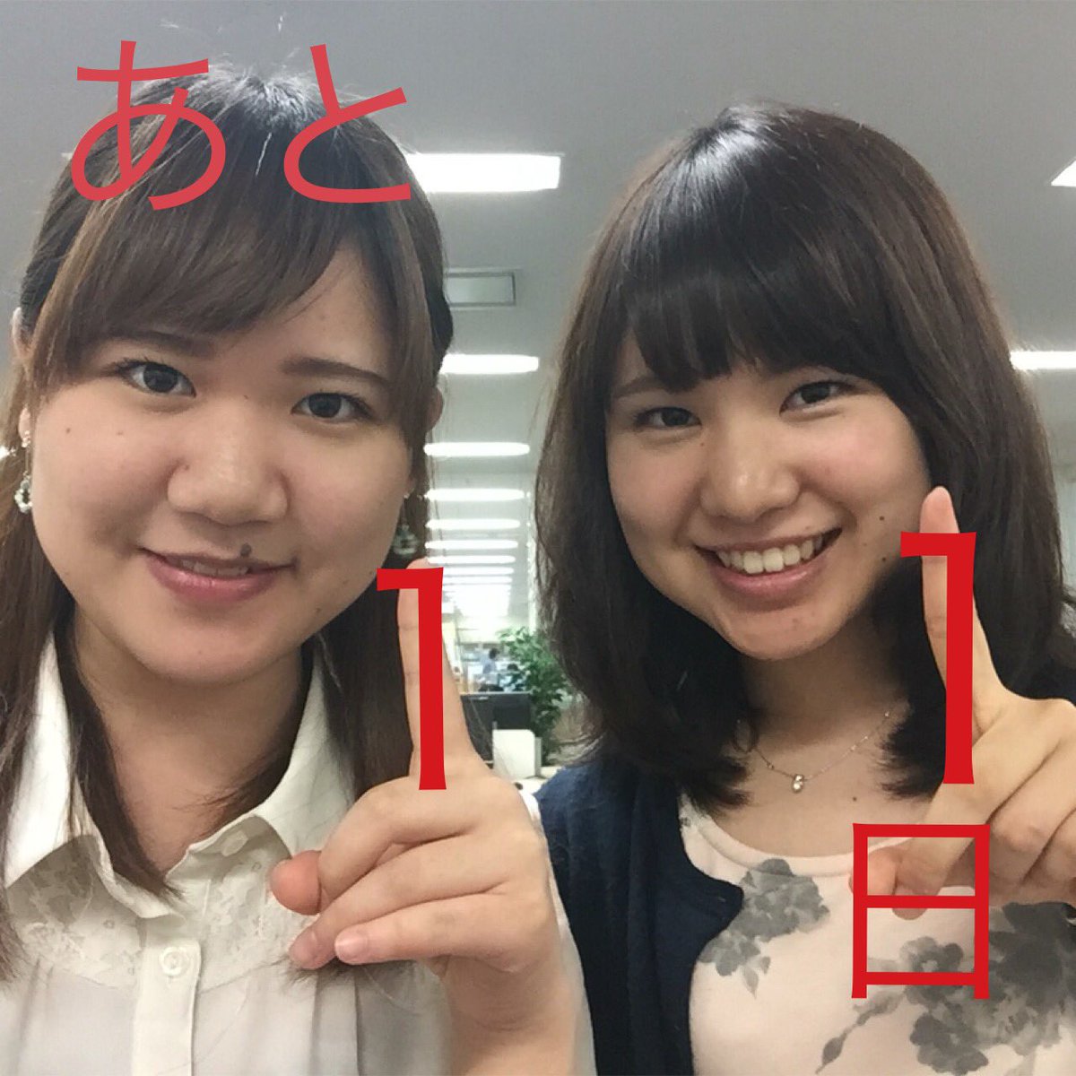 bridge_official tweet picture
