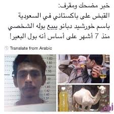 dojjgcb1's tweet photo. @mx_515 هههههه من كبر طمك حتى الباكستاني يضحك عليكم تف ابن الشرموطة https://t.co/z4n5p5Vdri