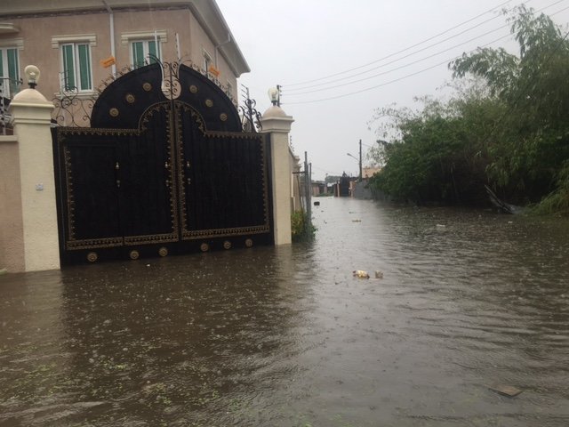 View image on Twitter