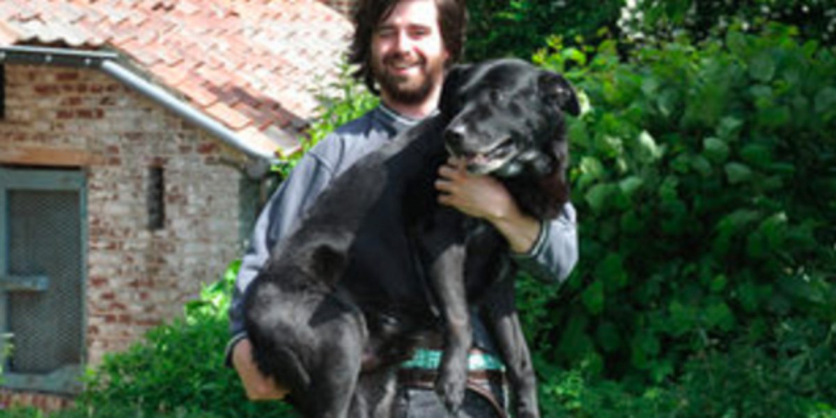 HuffPost tweet media