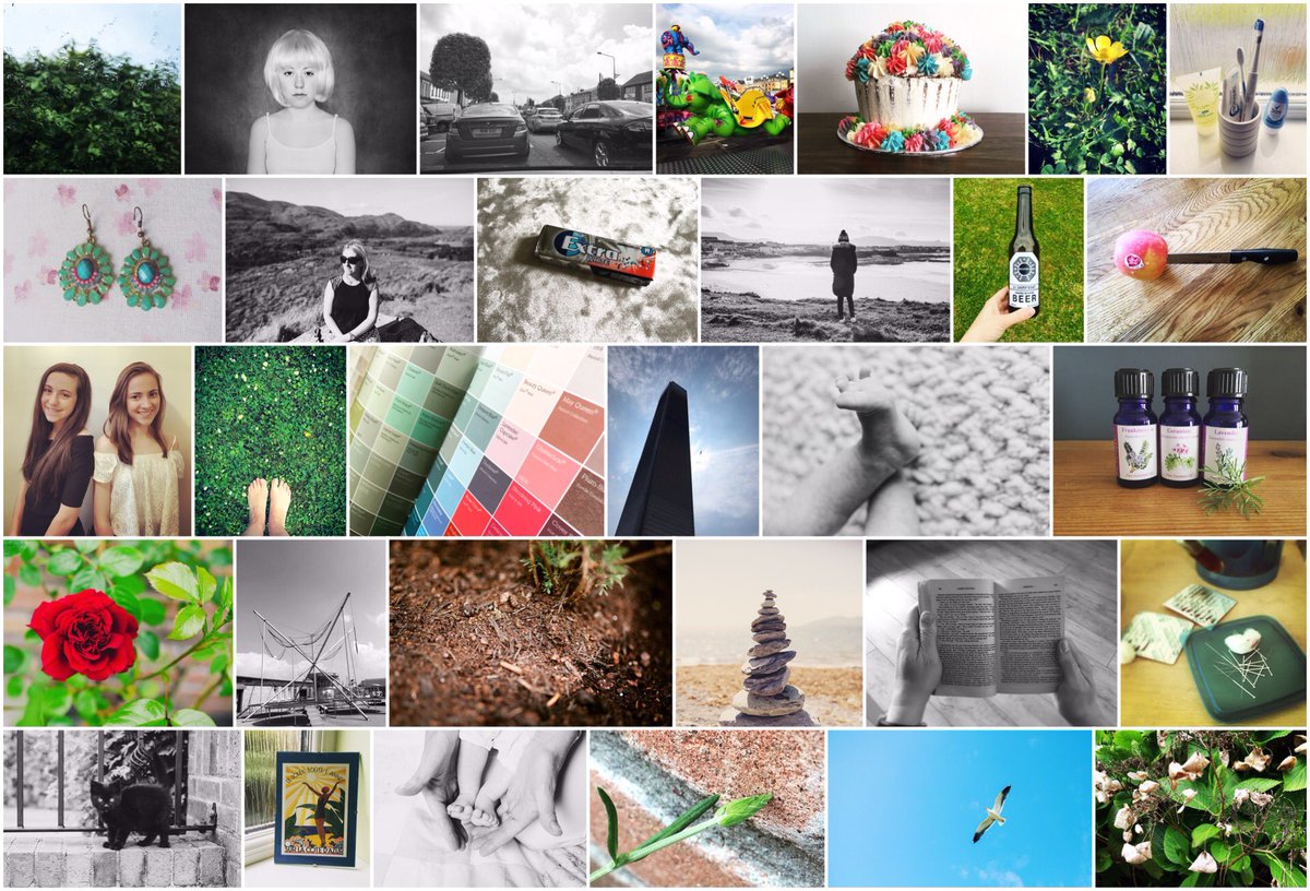 thedivinephoto's tweet image. May&apos;s collage of my images from #terrificproject #366days