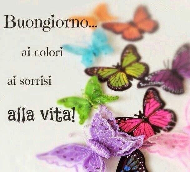 luisa_erre's tweet photo. #buongiorno #buonagiornata #lunedi #smile #SMiLeWithME #iniziosettimana #prontipartenzavia #workhard #studiomatto https://t.co/yYgk3tonNi