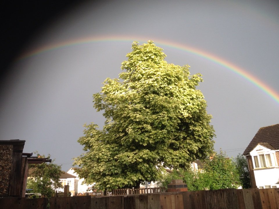 Anthony Hall tweet media