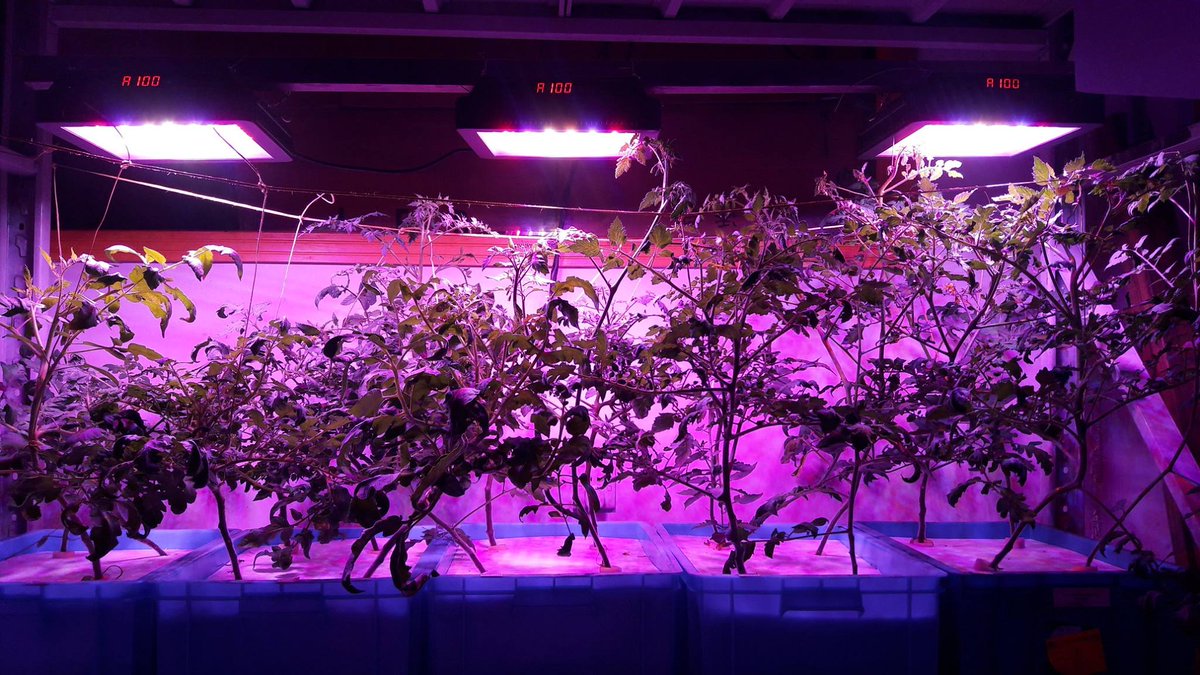 LEDGrowShop tweet picture