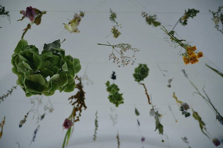 Some more images of Floating Garden - thank you everyone who visited! <a href="/FringeArtsBath/">FaB</a> <a href="/UtopiaDystopia_/">utopia:dystopia</a> <a href="/CreativeBath/">Creative Bath</a>