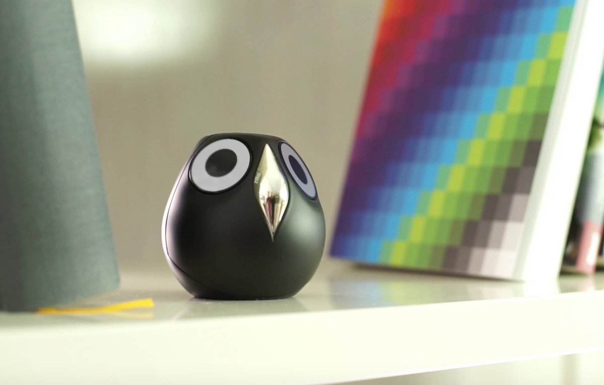 Design & Regale tweet media