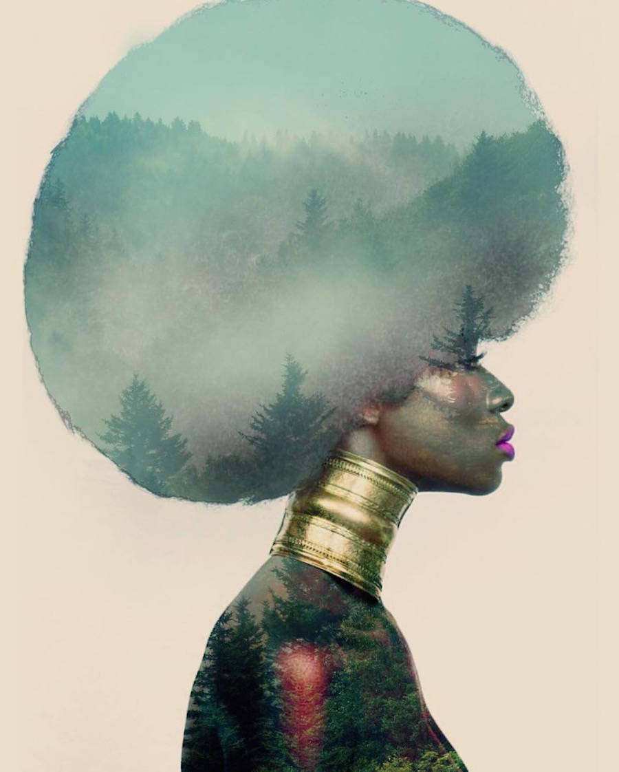 fubiz's tweet photo. Cosmic and Flowery Afro Hairstyles https://t.co/cWS8bhUFJU https://t.co/ywIQlHHJIf