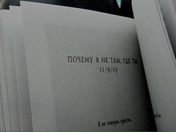 Z L O B I N A🦇 (@ms__zlo) on Twitter photo 