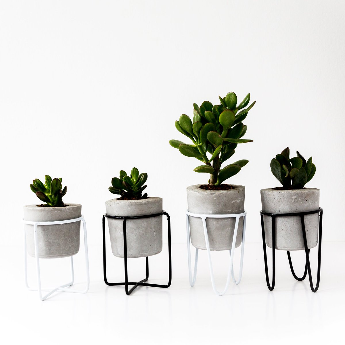 angorastudio's tweet photo. We made custom made wire designs for our large round pots 🌵❤ Find yours at @FabricateCT. Limited stock ✌ #SAdesign https://t.co/jfE5RkR8Qo