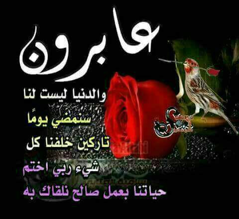 ali55ali666's tweet photo. https://t.co/7Zs34NLzB5
