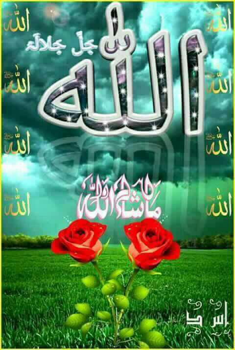 ali55ali666's tweet photo. https://t.co/FCI0vkknCo