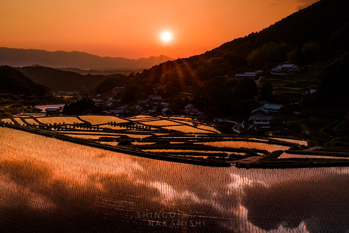 しんご Nostalgia 奈良県 明日香村が誇る細川の棚田 二上山に沈む夕日とオレンジに染まる水面 どこか懐かしい日本の原風景がそこにはありました Photography 奈良 棚田 夕焼け リフレクション しんご Nostalgia 奈良県 明日香村が誇る細川の棚田 二上山に沈む夕日とオレンジに染まる水面 どこか懐かしい日本の原風景がそこにはありました Photography 奈良 棚田 夕焼け リフレクション